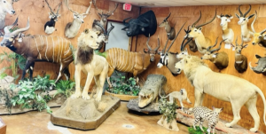 fls auction